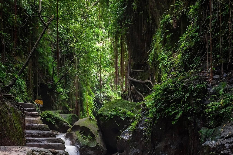 Ubud: Rice Terrace, Monkey Forest, Temple, & Waterfall Private Tours : Not Included entry fee