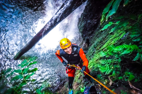 Experiência de canyoning e passeio às Furnas (Açores - São Miguel)Ponta Delgada: Passeio Parque Natural da Ribeira dos Caldeirões