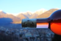 Domodossola, Ossola Valley Winery Tour with Tastings - Housity