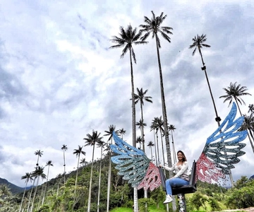 Salento/Pereira: Tour particular do Vale de Cocora e das caminhadas no Salento
