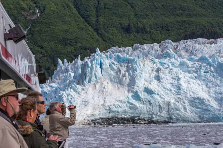 Ab Valdez: 7,5-stündige Meares-Gletscher- und Wildtier-Kreuzfahrt. Foto: GetYourGuide