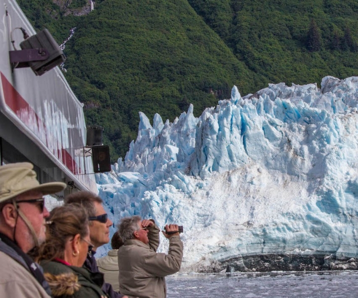 From Valdez: 7.5-hour Meares Glacier & Wildlife Cruise