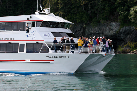 From Valdez: 7.5-hour Meares Glacier & Wildlife Cruise