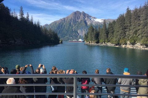 From Valdez: 7.5-hour Meares Glacier & Wildlife Cruise