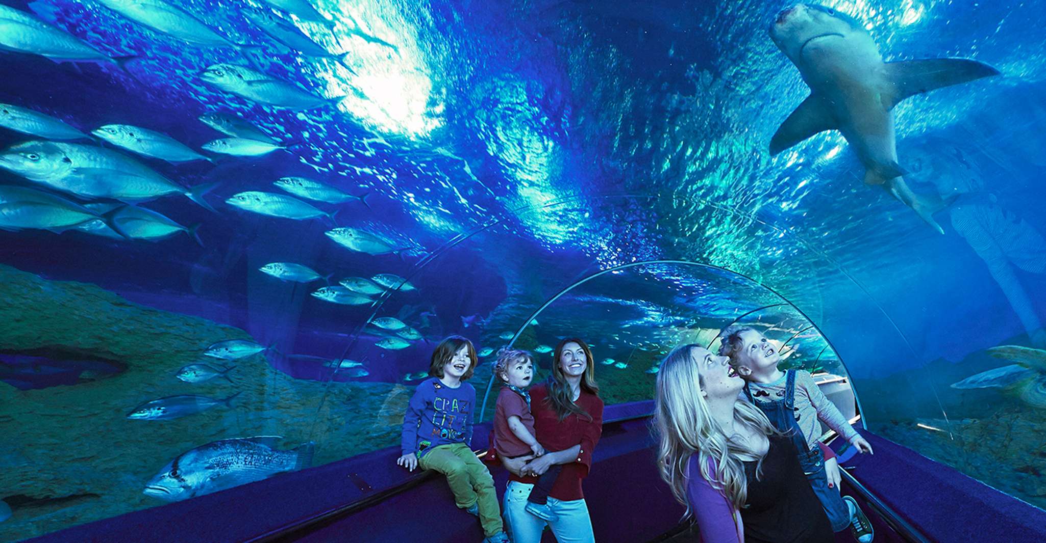 Perth, AQWA Aquarium of Western Australia Entradas - Hizvo