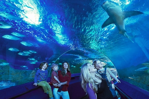 AQWA Aquarium of Western Australia Ogólne bilety wstępu