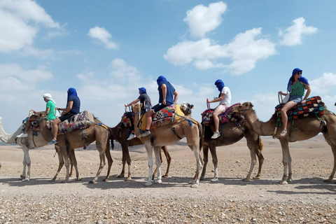 Marrakech: balade à dos de chameau dans le désert d'Agafay et excursion en VTT