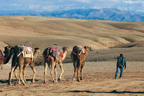 Marrakech: balade à dos de chameau dans le désert d'Agafay et excursion en VTT