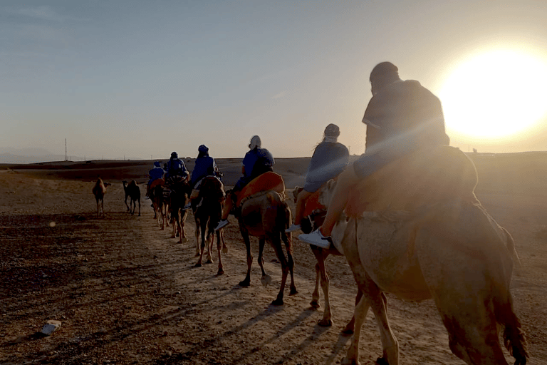 Marrakech: paseo en camello por el desierto de Agafay y tour en quad