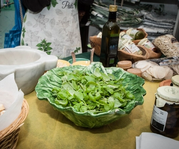 Levanto: Pesto-Making Class
