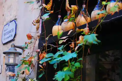 Cinque Terre : dégustation de vin à Monterosso
