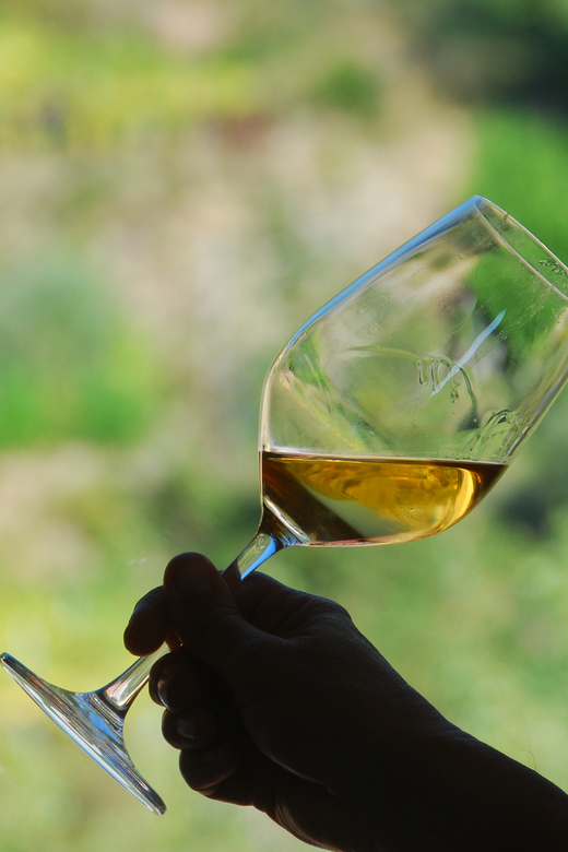 Cinque Terre: Wine Tasting in Monterosso