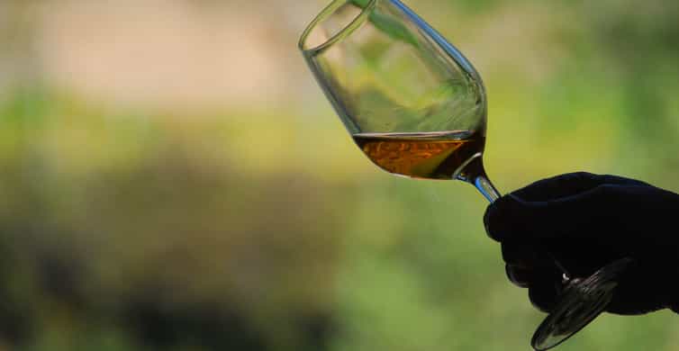 Cinque Terre: Wine Tasting in Monterosso