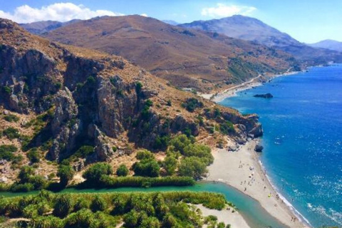 From Rethymno: Preveli Palm Forest Hike and Beach Day Trip