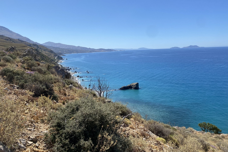 From Rethymno: Preveli Palm Forest Hike and Beach Day Trip