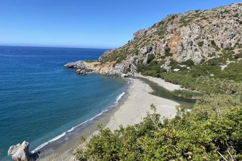 From Rethymno: Preveli Palm Forest Hike and Beach Day Trip