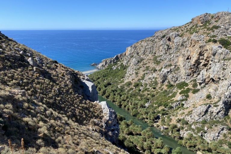 Van Rethymno: Preveli Palm Forest-wandeling en stranddagtrip