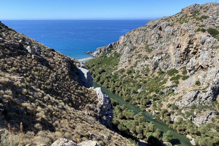 De Réthymnon: randonnée dans la forêt de palmiers de Preveli et excursion d'une journée à la plage