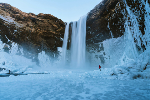 Reikiaivik: tour en grupo reducido por el sur de Islandia