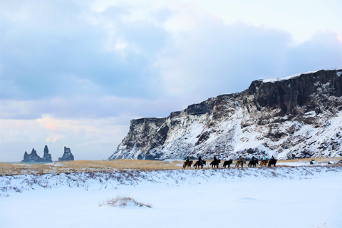 Ab Reykjavik: Tagestour in den Süden IslandsTour mit Treffpunkt an Bushaltestelle 12