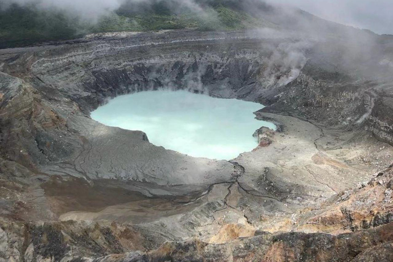 From San José: Poás Volcano,Local Coffee Farm & Birdwatching Poas volcano active crater, la Paz Waterfall & birdwatching