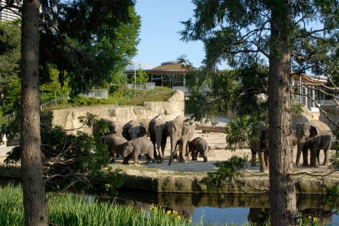 Kolonia: Letni bilet wstępu do zoo w Kolonii AkwariumKolonia: Bilet wstępu do zoo w Kolonii