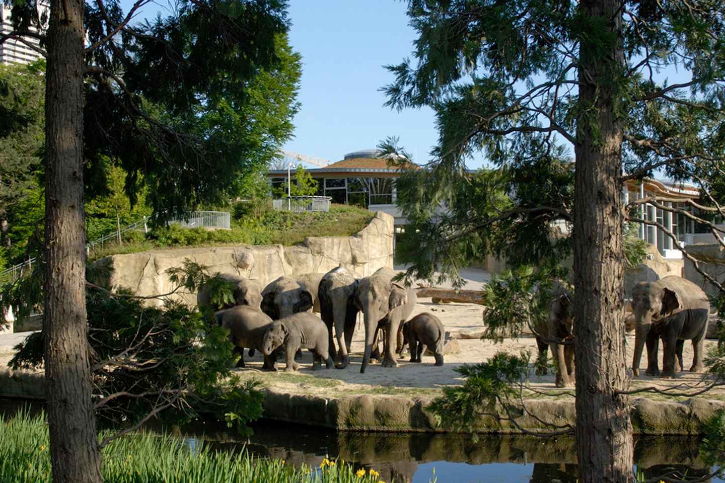Cologne: Cologne Zoo and Aquarium Entry Ticket - Winter Ticket: November - February