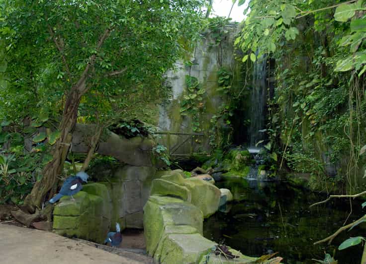 Köln Kölner Zoo Sommereintrittskarte inkl. Aquarium GetYourGuide