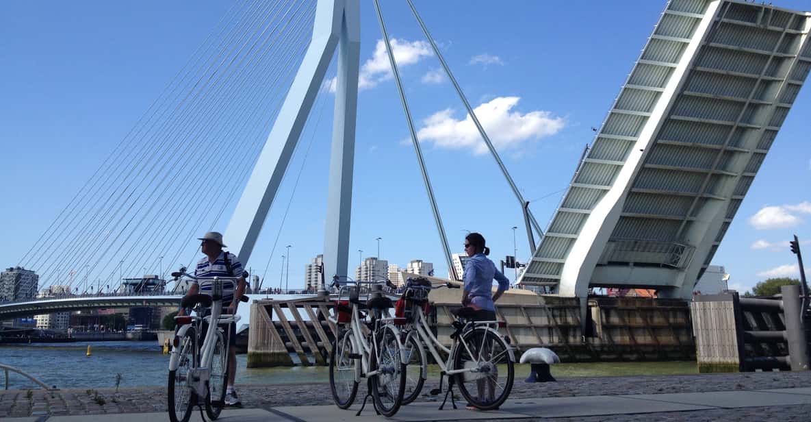 Afbeelding 4 van Rotterdam: City Highlights Guided Bike Tour