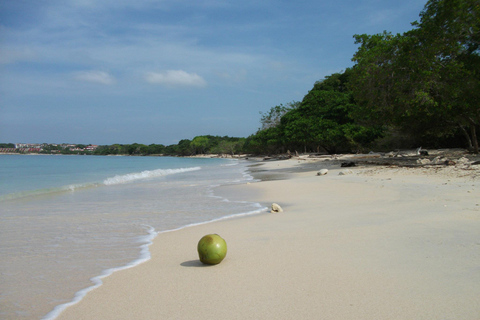 Tour di un&#039;intera giornata alla spiaggia bianca di Baru con pranzo