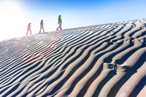 From Salta to Cafayate: Devil's Throat, Amphitheater, and Valley Wines