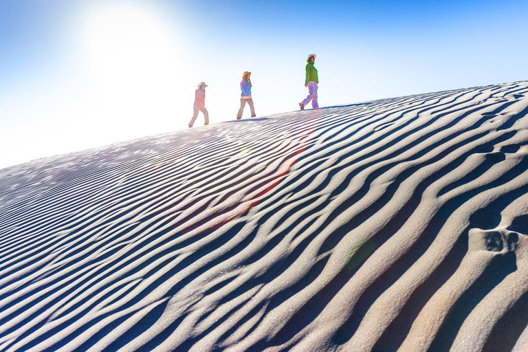 From Salta to Cafayate: Devil's Throat, Amphitheater, and Valley Wines