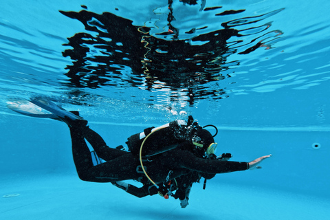 Caniço: Scuba Diving Experience for Beginners Ocean Experience