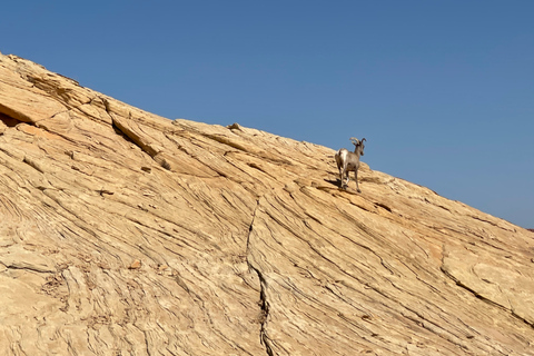 Las Vegas: Valley Of Fire State Park Tour Private Tour