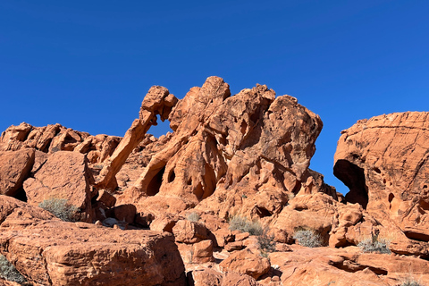 Las Vegas: Valley Of Fire State Park-tourPrivérondleiding