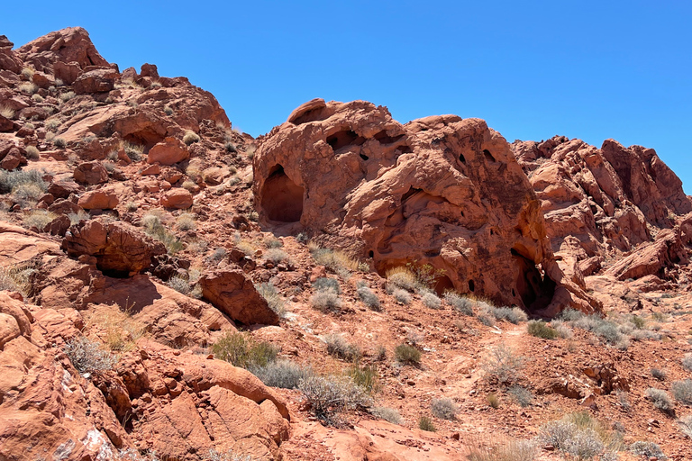 Las Vegas: visite du parc d&#039;état Valley Of FireVisite privée