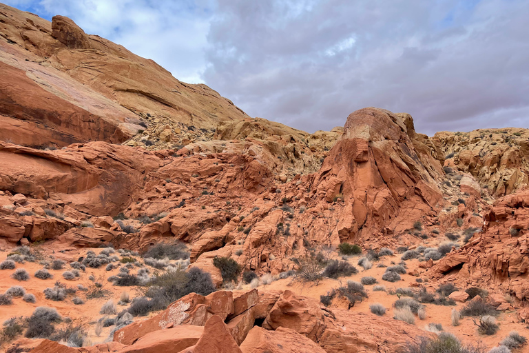 Las Vegas: visite du parc d&#039;état Valley Of FireVisite privée