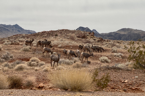 Las Vegas: Valley Of Fire State Park-tourPrivérondleiding