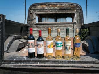 Rhodes: Winery Tour and Tasting Experience