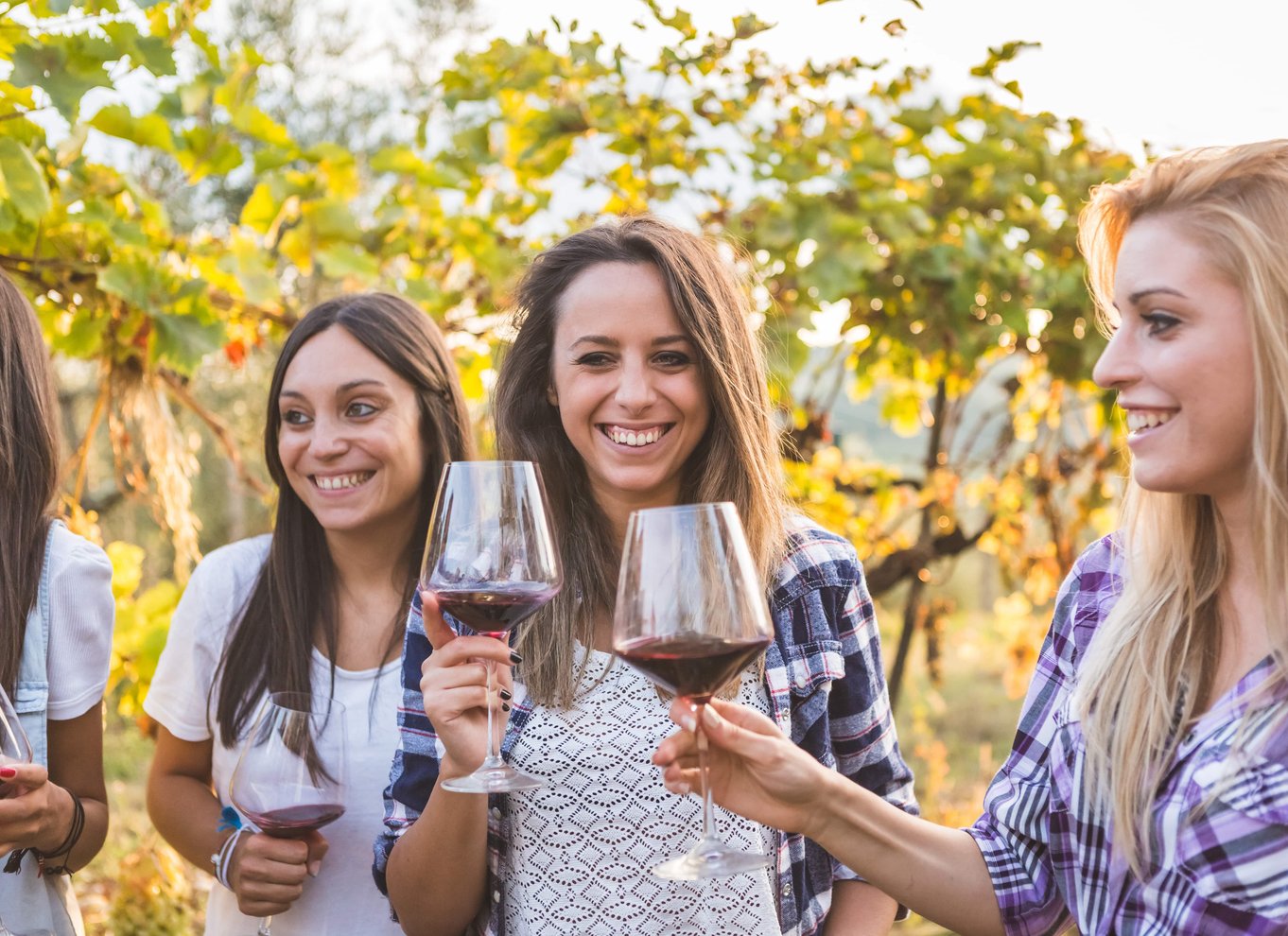 Rhodos: Rundvisning på vingård og vinsmagning