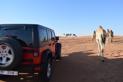 Dubai: Desert Safari, Quad Bike, Camel Ride and Sandboarding Private Tour without Quad Bike Ride