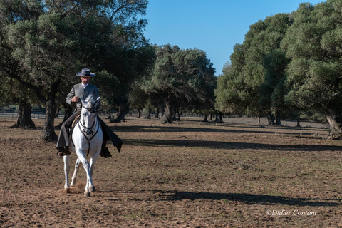 Cádiz: Espectáculo Campestre de Caballos y Toros Andaluces