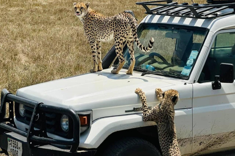 Arusha: 9-Day Photographic Camping Safari