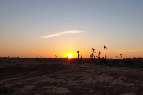 Marrakesz: Agafay Desert Camel Ride i ATV Tour