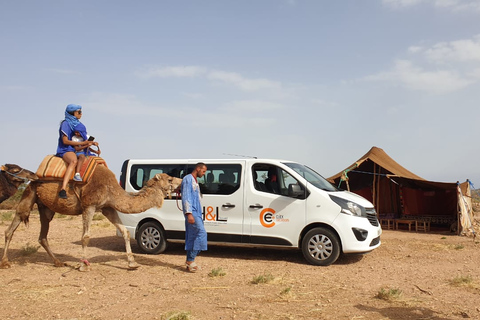 Marrakesh: Agafay Desert Camel Ride and ATV Tour