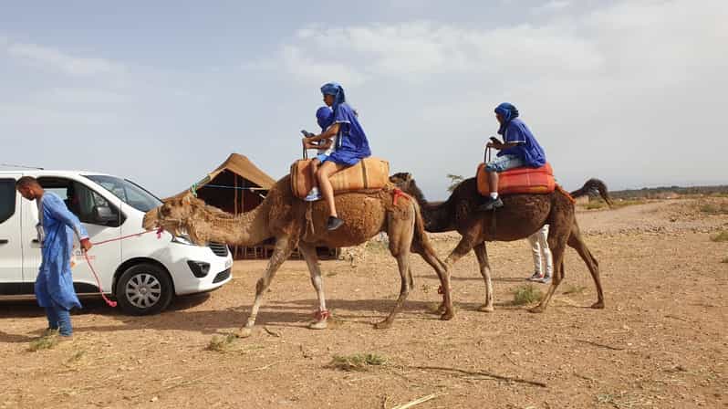 Marrakech Paseo En Camello Por El Desierto De Agafay Y Excursi N En Quad Getyourguide