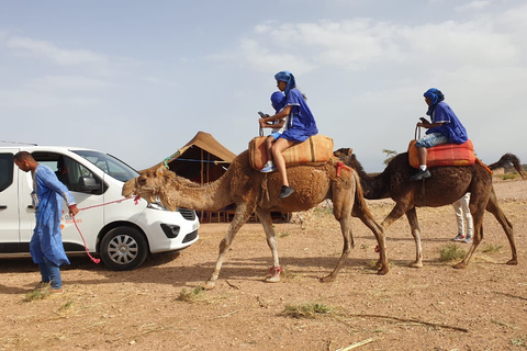 Marrakech: balade à dos de chameau dans le désert d'Agafay et excursion en VTT