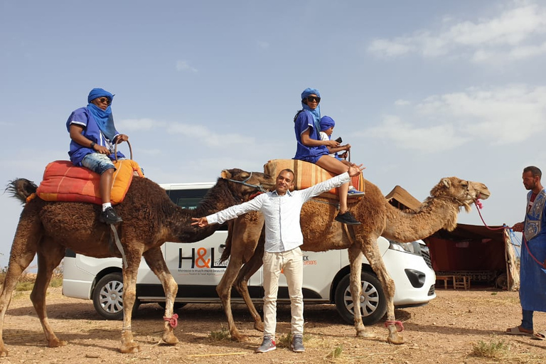 Marrakesh: Agafay Desert Camel Ride and ATV Tour