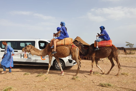 Marrakesh: Agafay Desert Camel Ride and ATV Tour