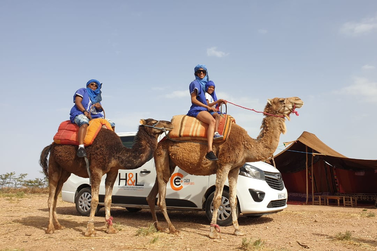 Marrakech: balade à dos de chameau dans le désert d'Agafay et excursion en VTT